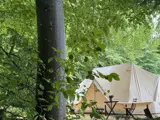 Glampingtelt set fra skoven