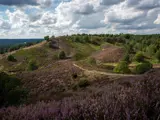 Naturen ved Sindbjerg og Stovbjeg af Per Bille