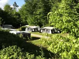 Campingsplads og natur