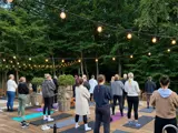 En gruppe mennesker står på en terrasse i skoven og laver yoga. Der er lyskæder over dem og udsigt til trækronerne. 